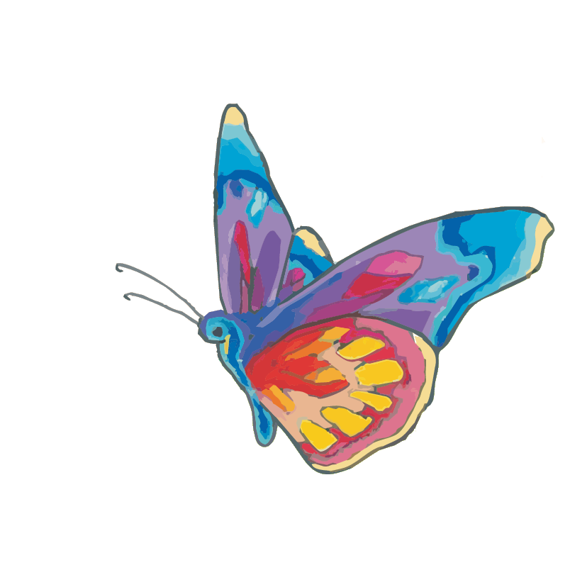 Schmetterling Illustration